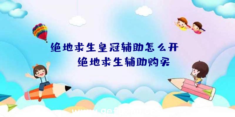「绝地求生皇冠辅助怎么开」|tox绝地求生辅助购买